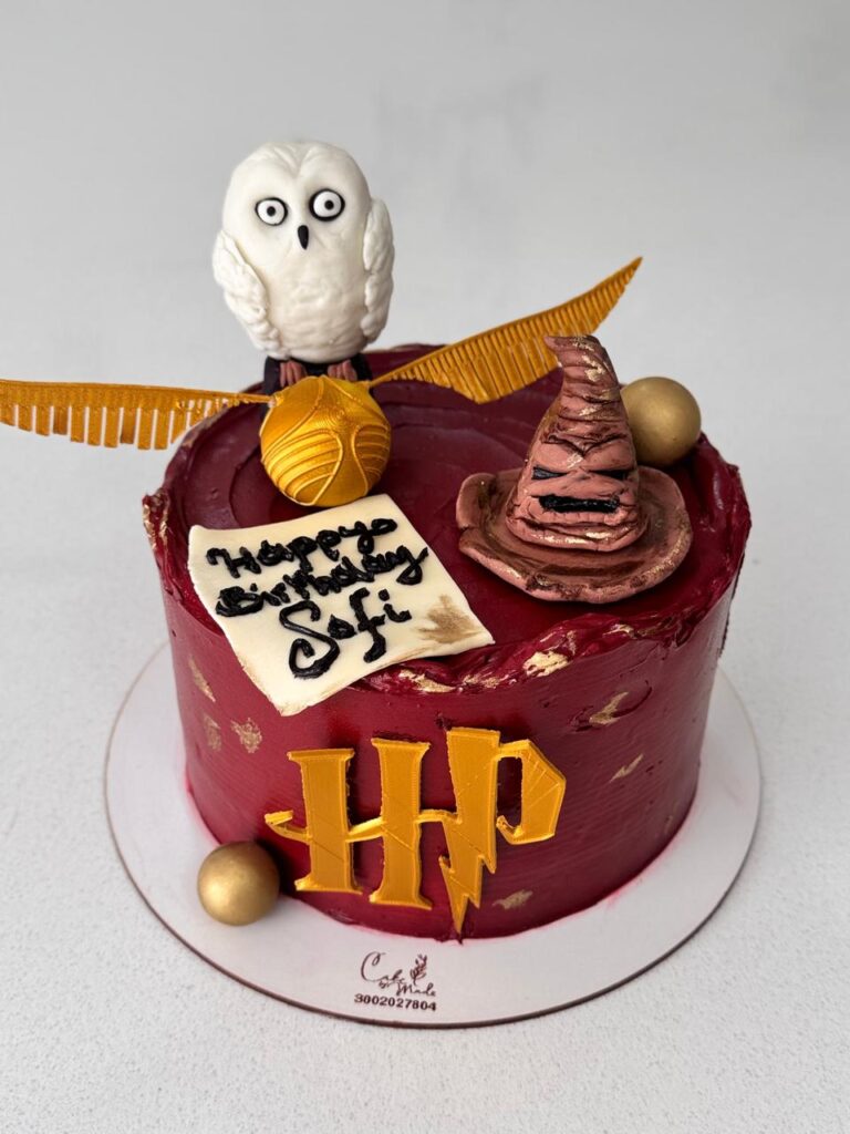 Torta con diseño exclusivo de Harry Potter