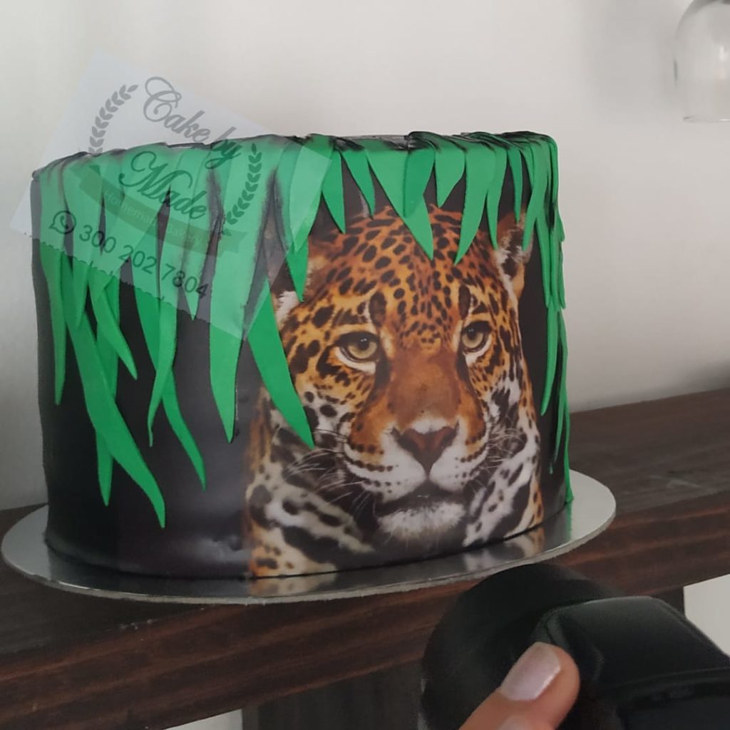 Hermosa torta decorada con Impresiones comestibles, impresión comestible en papel de azúcar