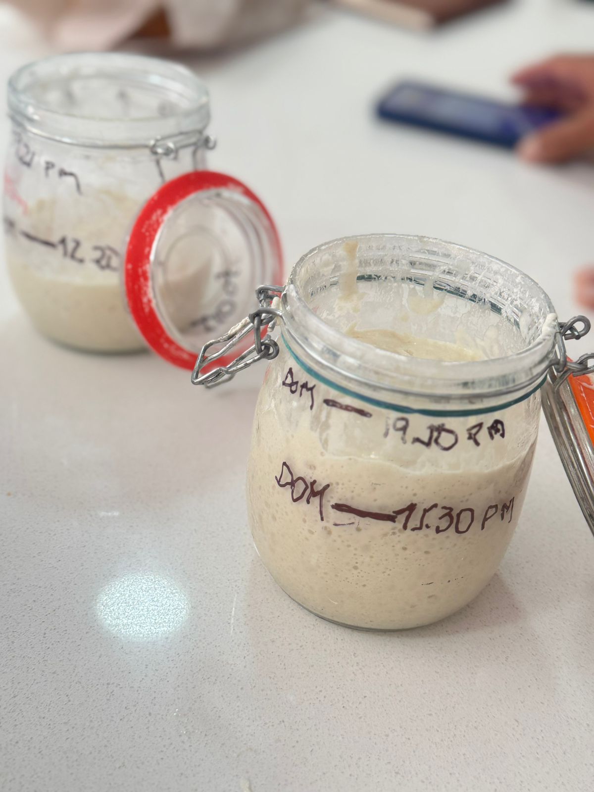 Curso de Masa Madre en Bogotá: Taller Práctico de Pan Artesanal 5 Este curso De masa madre en Bogotá enseña Mantener la Masa madre ¿Cómo prepararla? Esta es una imagen ilustrativa